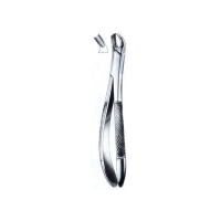  Extracting Forceps American Pattern